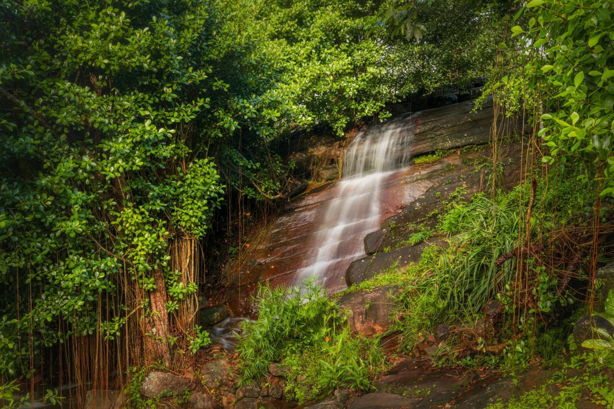 Villa Vajrapani Kandy Exteriér fotografie